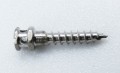 Miniscrews (TADs)_3.jpg